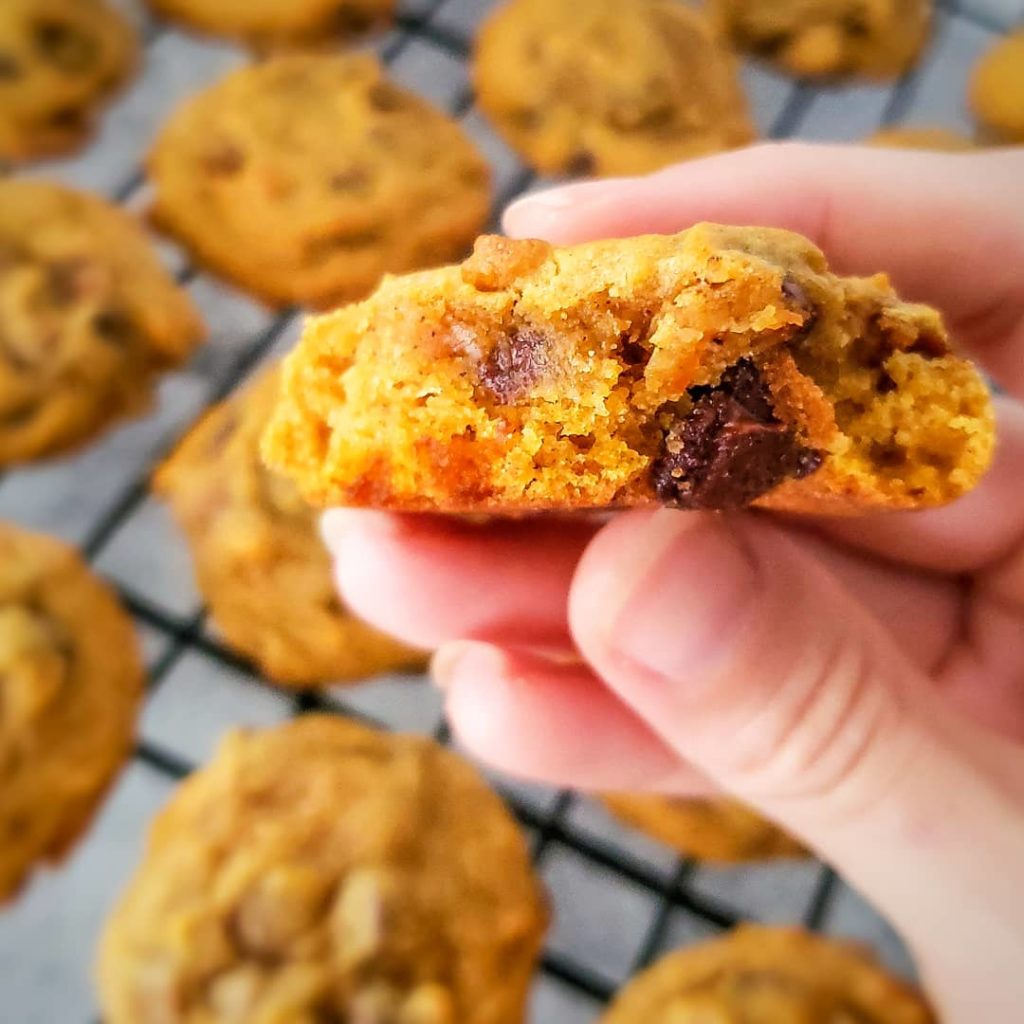 easy pumpkin chocolate chip cookie recipe